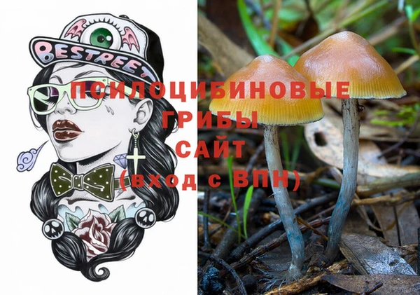 первитин Армянск