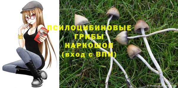 первитин Армянск