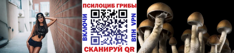 даркнет сайт  KRAKEN как войти  Псилоцибиновые грибы прущие грибы  Бежецк 